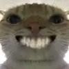 harry - @harry_lysn - TikTok