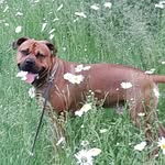 Harry Maas - @harry.maas.980 - Instagram
