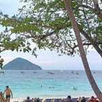 Harry Mabel Zea - @harry_mabel_ernie_sam_ralphy - Instagram