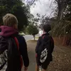harry_main - @harry_main - TikTok