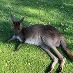 Harry main - @harrymain227 - Instagram