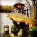 Harry Manley - Facebook