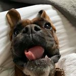 @harrymanley24 - Instagram