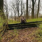 Harry Marks - @marks_harry360 - Instagram