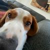Harrymarks - @harrymarks42069 - TikTok