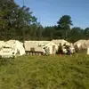 Harry Martins - @harry.martins4 - TikTok