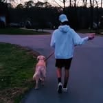 Harry McCall - @hi_im_harri.son - Instagram