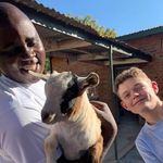 harry - @harry_mcgill_ - Instagram