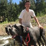 Harry McGill - @harry.mhm - Instagram
