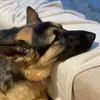 harry.mcrae - @harry.mcrae - TikTok