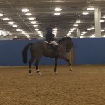 @harry.meade - Instagram