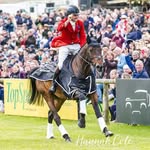 Harry Meade Eventing - @harrymeadeeventing - Instagram