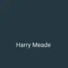 harrymeadeeventin - @harrymeadeeventin - TikTok