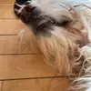 Henry Mears - @henry.mears7 - TikTok