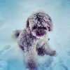 Harry - @harry_meredith_13 - TikTok