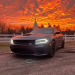 Harry Messenger - @harry_messenger - Instagram
