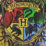 Harry Potter Messenger Üzik - @_harry_potter_messenger_ - Instagram