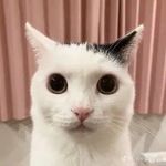 Harry Metcalfe - @harrymetcalfe420 - Instagram