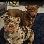 Harry Metcalfe - @harrymetcalfenew - Instagram