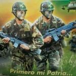 Harry Michel - @michel.harry - Instagram