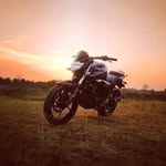 Harry milner - @harry.m15112 - Instagram