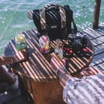 Harry Mims - @harrymims31 - Instagram