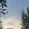 Harry✝️ - @harry_mitchell.10 - TikTok