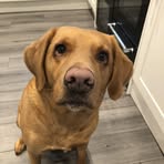 Harry Mitchell - Facebook