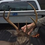 Harry Jack Mobley - @harryjackmobley - Instagram