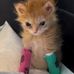 Harry Mugridge - Facebook