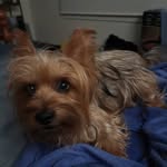 Harry Mohr - @harry_mohr - Instagram