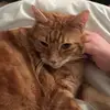 Harrymonk01 - @harrymonk01 - TikTok