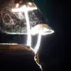 HarryMonk - @harrymonk1111 - TikTok