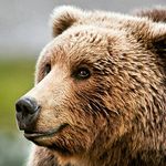 Harry Mooney - @fryingpan_man - Instagram