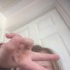 Harry Mooney - @moonbob - TikTok