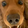 Harry Moran - @harry.moran73 - TikTok