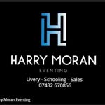 Harry Moran Eventing - @harrymoraneventing - Instagram