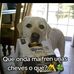 Harry Moritz - Facebook