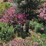 Harry Morrow - @harrymorrow_ - Instagram