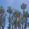 Harry Morrow - @harrymorrow3 - TikTok