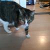 wouter - @harrymulder3 - TikTok