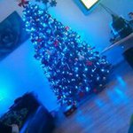 Harry Murphy - @murphy_harry - Instagram