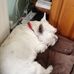 Harry Neale - Facebook