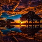 Harry Newton - Facebook