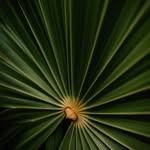 harry nickson - @harrynickson78 - Instagram