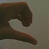 user5628403979949 - @harry_noe - TikTok
