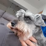 harry oakes - @oakes7164 - Instagram