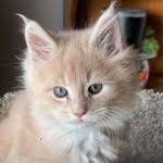 Harry Olson - @harryolson5788 - Instagram