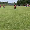 Harry O’Neill - @harry.oneill5 - TikTok