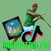 Harry OToole 🇮🇪 - @harryotoole10 - TikTok